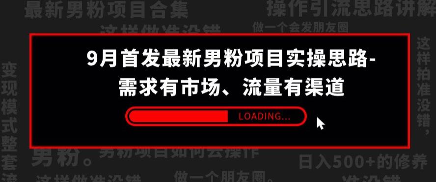 【第5765期】9月最新男粉项目，项目实操思路-需求有市场，流量有渠道【揭秘】