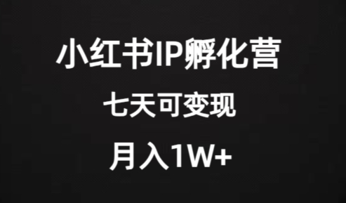 【6227期】价值2000+的小红书IP孵化营项目，超级蓝海，七天开始变现，稳定月入1W+