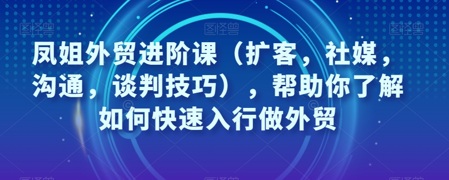 【6185期】凤姐外贸进阶课（扩客，社媒，沟通，谈判技巧），帮助你快速入行做外贸