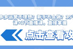 【第6753期】拼多多运营不理想？新手不会做？15节系列课+2节直播课，直接掌握插图