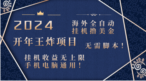 【6764期】2024海外撸美金项目！手机电脑均可