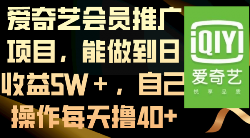 【6860期】爱奇艺会员推广项目，能做到日收益5W＋