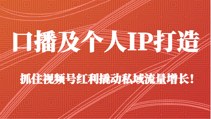 【6885期】抖音口播及个人IP打造，抓住视频号红利撬动私域流量增长！（45节课）