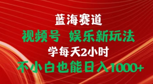 【第10470期】蓝海赛道视频号 娱乐新玩法每天2小时小白也能日入1000+插图