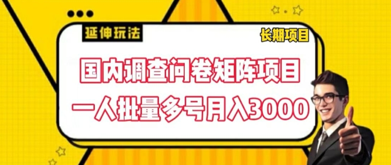 【8071期】国内调查问卷矩阵项目，一人批量多号月入3000