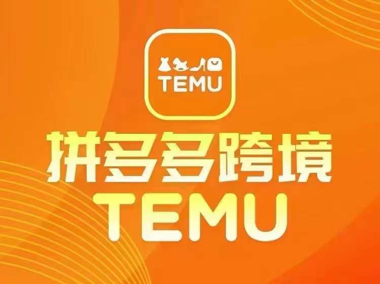 【8125期】最新TEMU拼多多跨境教程，开店、运营、选品
