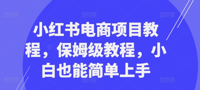 【第8447期】小红书电商项目教程，保姆级教程，小白也能简单上手插图