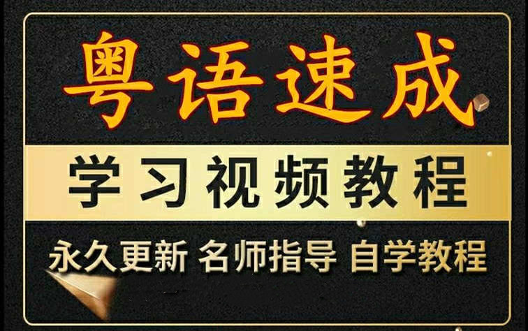 【第8674期】粤语视频教程教学课程广东话学习教程零基础速成入门到精通插图