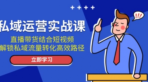 【8728期】私域运营实战课：直播带货结合短视频，解锁私域流量转化高效路径