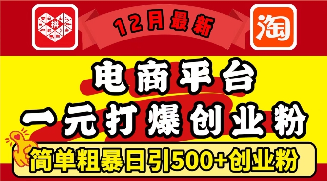 【8743期】12月最新：电商平台1元打爆创业粉，简单粗暴日引500+精准创业粉