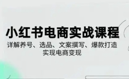 【9269期】小红书从0-1实操课2025养号、选品、文案撰写、爆款打造实现电商变现