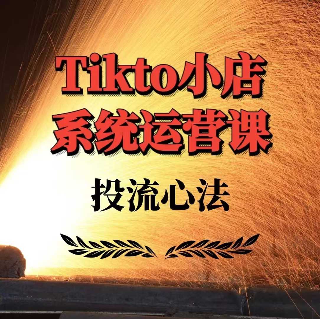 【9270期】TikTok小店系统运营课：Allen-TK投流技法全攻略，包括广告命名 扩量手法及市场运营方法