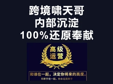 【9288期】跨境特训营-跨境电商教程