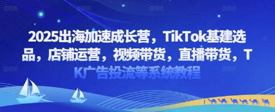 【9370期】2025出海加速成长营，TikTok基建选品，店铺运营，视频带货，直播带货，TK广告投流等系统教程