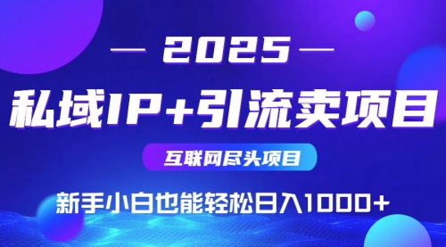 【9405期】私域IP+卖项目，普通人小白也能轻松实现日入1000+