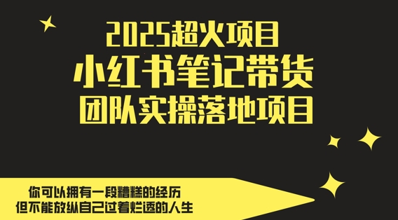 【9434期】2025超火项目，小红书笔记带货团队实操落地项目，轻松日入5张