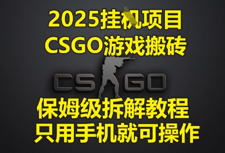 【9435期】2025挂G项目，CSGO游戏搬砖，保姆级拆解教程，只用手机就可操作【揭秘】