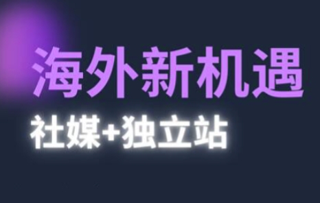 【9447期】2025出海新机遇(社媒+独立站)，海外新机遇，实现独立站的高效运营与出海