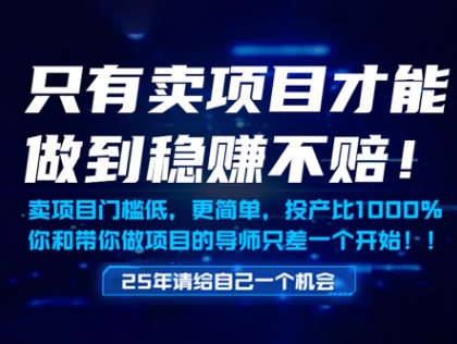 【9469期】只有卖项目才能做到稳挣不赔，门槛低，更简单，你也可以年入百个W【揭秘】