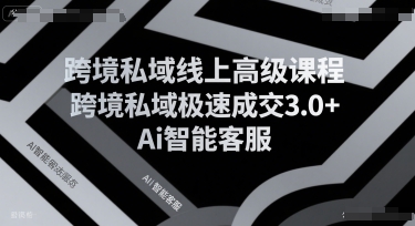 【9581期】跨境私域线上高级课程，跨境私域极速成交3.0+Ai智能客服