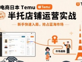 【9647期】跨境电商日本Temu半托管店铺运营实战，新手快速入局，抢占蓝海市场