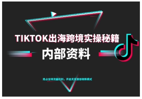 【9651期】TikTok跨境电商0-1搭建运营，TK出海跨境实操秘籍