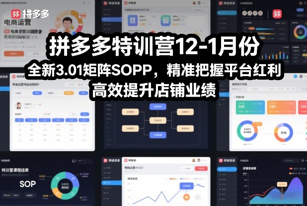【9690期】拼多多特训营12-1月份，全新3.01矩阵Sop，精准把握平台红利，高效提升店铺业绩